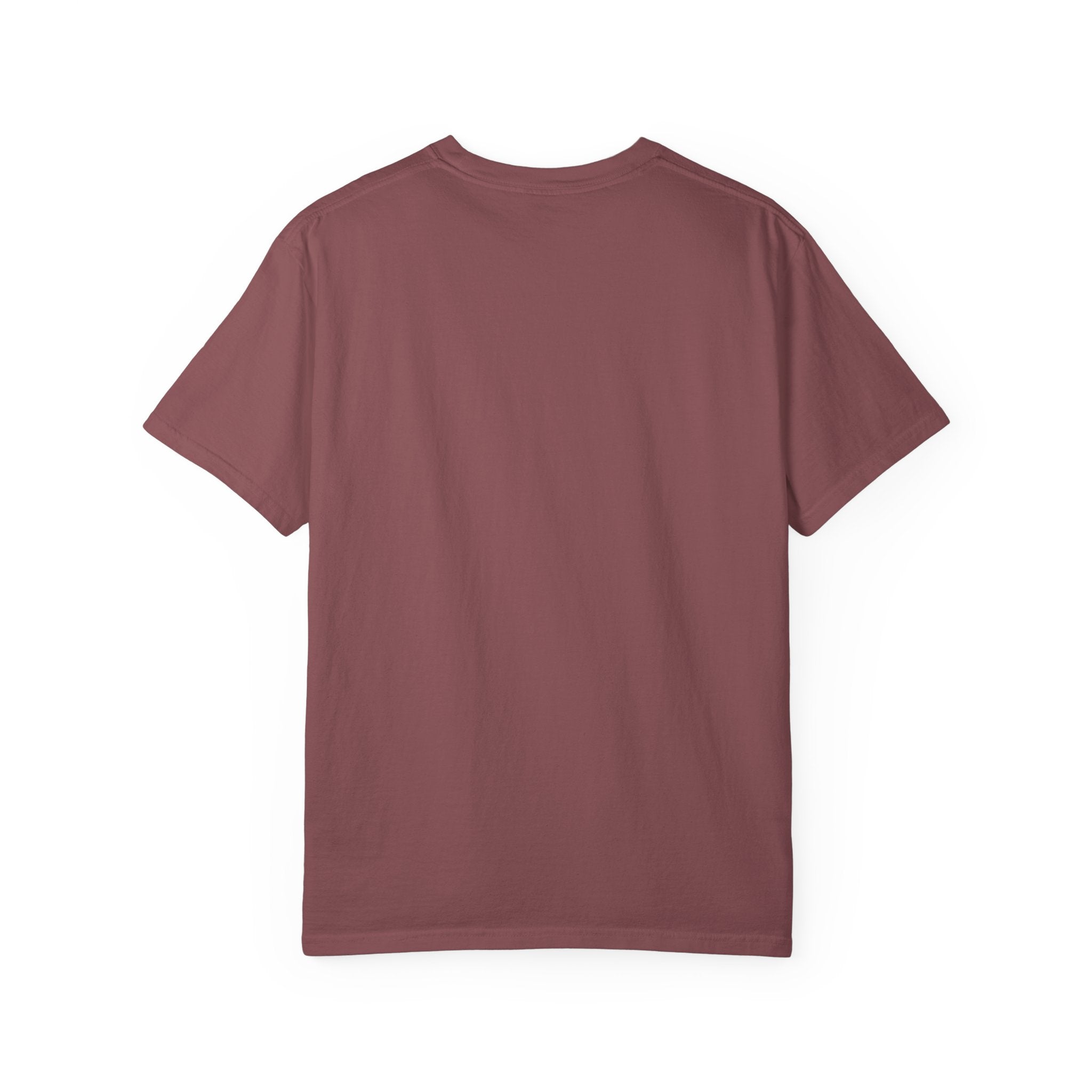DSA T-Shirt